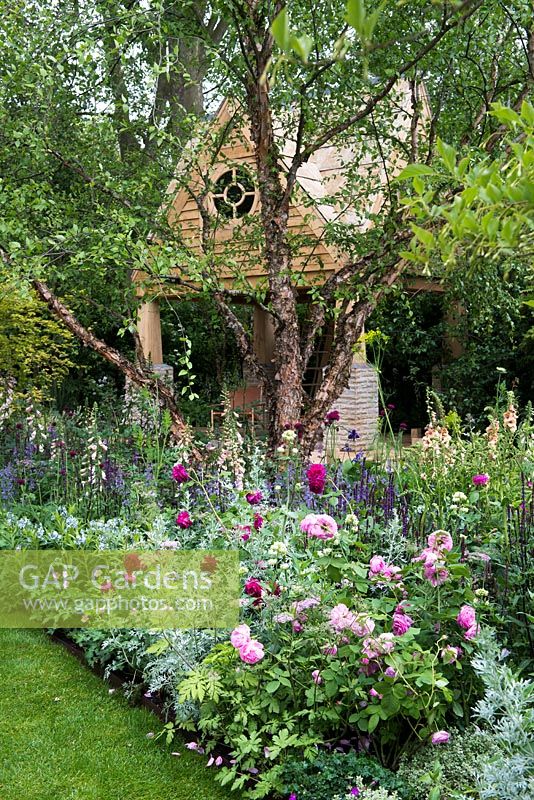 The M and G Garden - The Retreat. View of the two storey oak framed building and flowerbed with Rosa 'Louise Odier', 'Comte de Chambord', Rosa 'Nuits de Young', Rosa 'Chianti', Salvia nemorosa 'Caradonna' and Digitalis purpurea 'Sutton's Apricot' 