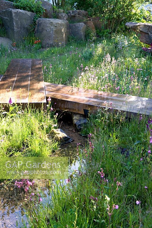 The Laurent-Perrier Chatsworth Garden. Naturalistic recreation of Trout stream and Paxton's rockery. Sunlight though meadow planting red and white campion, Cirsium. Wooden walkway over stream