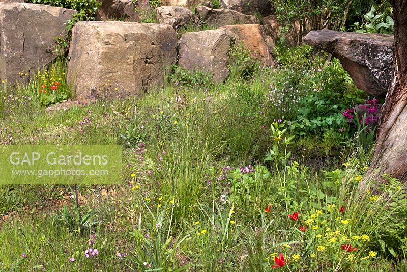 Naturalism of Chatsworth and the wilder side of gardening, depicting the trout stream and Paxton's rockery -  The Laurent Perrier Chatsworth Garden. RHS Chelsea Flower Show, 2015