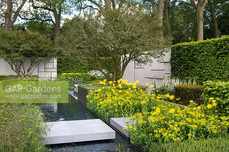 The Telegraph Garden. View of concrete block path and bridge over modern pond with black slate bottom leading to concrete feature walls surrounded by Doronicum x excelsum 'Harpur Crewe' and Allium moly, Digitalis purpurea f. albiflora and Osmanthus x burkwoodii 