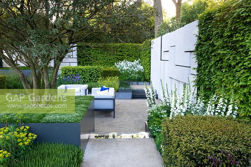 Osmanthus x burkwoodii with raised canopy. White foxgloves. Yew hedges. Aggregate path.  Seating Geometric block rectangular borders Straight lines inspired by Mondrian and the de Stijl Movement. Hornbeam hedges in blocks. Water. Osmanthus x burkwoodii raised canopy in raised bed.   The Telegraph. RHS Chelsea Flower Show, 2015