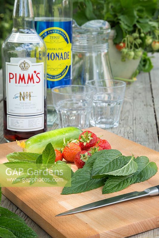 All the required ingredients to make a refreshing Pimm's beverage