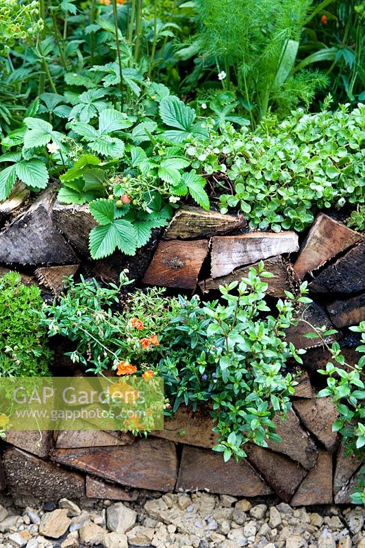 A Trugmaker's Garden. Raised bed retaining wall formed by split logs with perennial plants planted in niches. RHS Chelsea Flower Show, 2015