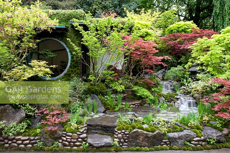 Large round window of house with pinus and acers. Moss on house wall. steps, hard landscaping. Green roof. Waterfall. Edo no Niwa Garden  - RHS Chelsea Flower Show, 2015