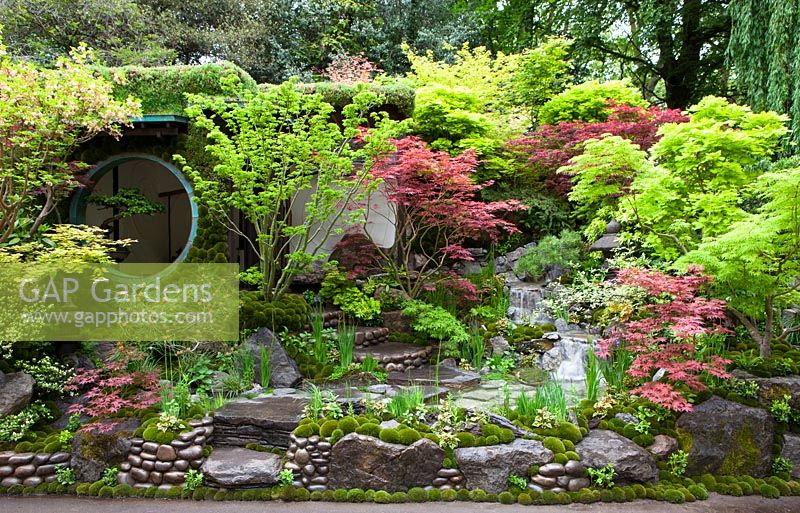 Jonathan Buckleyâ€¨Edo no Niwa - Edo Garden. Garden overview of Japanese themed garden. Gold medal winner. Design: Ishihara Kazuyuki Design Laboratory. Sponsor: Cat's Co Ltd. RHS Chelsea Flower Show 2015
