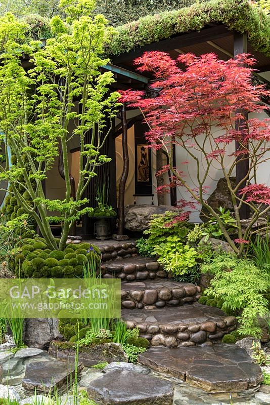 Edo no Niwa - Edo Garden, reflecting a time when gardens of maples, moss and stones, were designed for everyone, regardless of class or wealth. 
