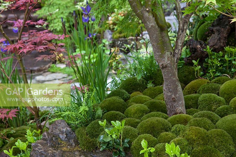 Edo No Iwa - Edo Garden by Ishihara Kazuyuki Design Laboratory, mossy stones and stream. RHS Chelsea Flower Show, 2015.