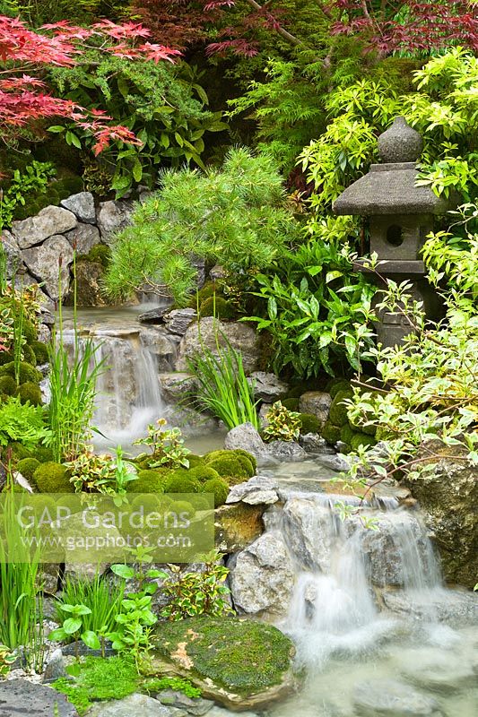 Edo no Niwa - Edo Garden. Japanese garden - A waterfall flows through rocks and green textural planting of Iris sibirica cv and pincushion moss mounds