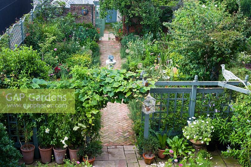 View of main garden from bedroom window. Trellis with Vitis coignetiae and clematis divides top terrace from main garden. Philadelphus, long toms with lilies, urn with petunias and osteospermum.
