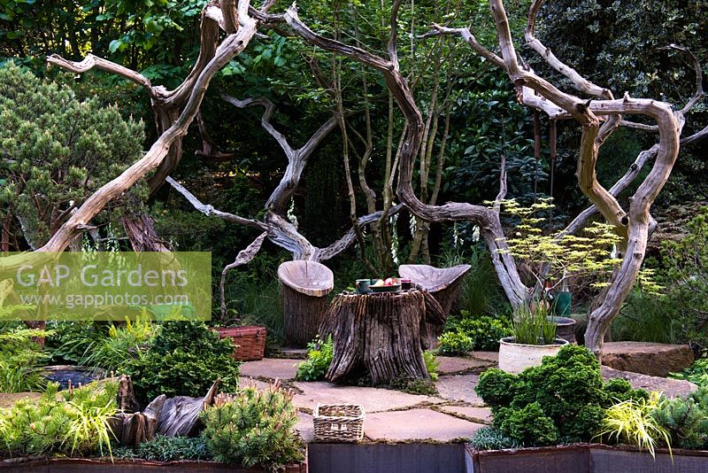 Seating area made with raw wood roots surrounded by Oak branches - natural sculptural elements, Pinus and Acer. The Sculptor's Picnic Garden by Walker's Nurseries. RHS Chelsea Flower Show 2015