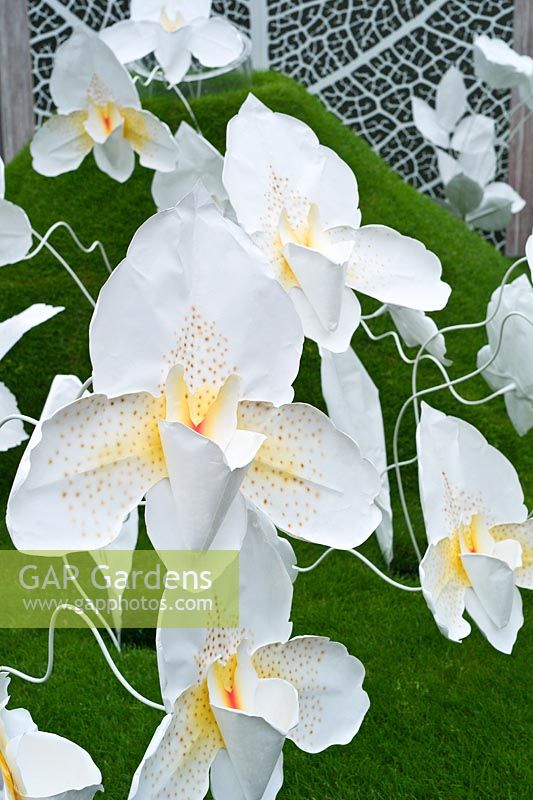 Contemporary garden - Giant paper orchid flowers. The Fragrance Garden from Harrods.