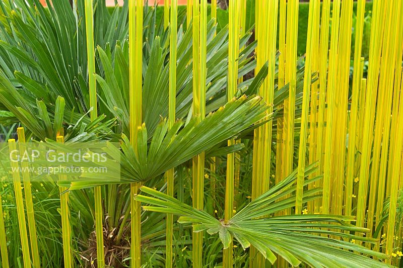 The World Vision Garden. Translucent orange rods and tropical foliage plants