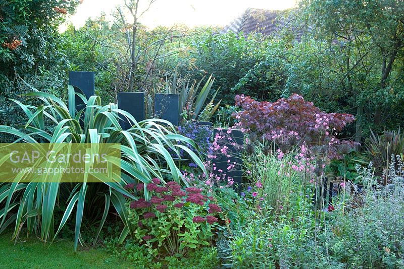 Asters and sedum add bursts of colour to an Autumn border.  Phormium and vertical slate slabs add structure.