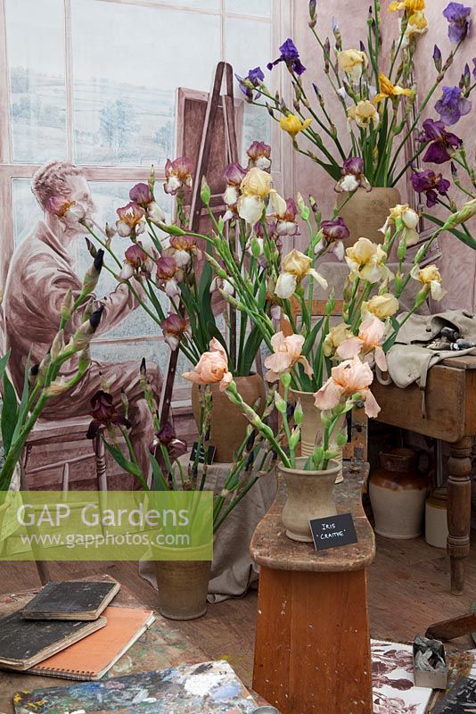 Artists's studio with cut flowers in jugs and pots. Irises of Sir Cedric Morris and Associates, RHS Chelsea Flower Show, 2015