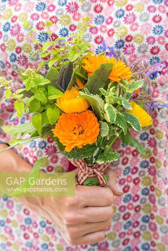 Woman holding floral bouquet of Calendula officinalis 'Art Shades', Sage and Borage