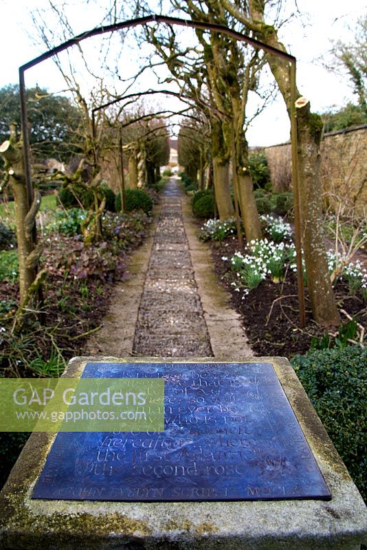 The Laburnum and Lime Walk leading to the Temple.