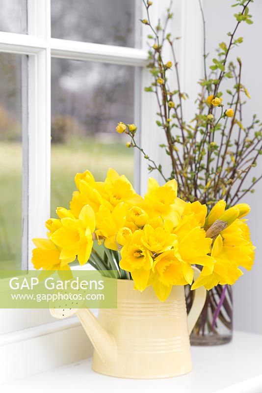 Narcissus in a cream jug accompanied with spring foliage, with a view to the garden