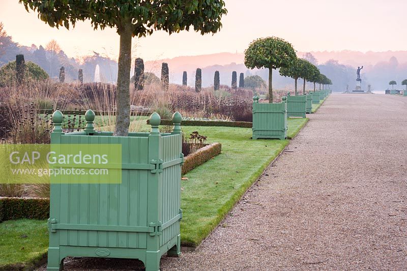 Line of Versailles planters containing standard clipped Portuguese laurels - Prunus lusitanica in the Italian Garden, Trentham Gardens
