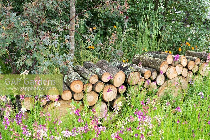 Logs stacked for wildlife with wildflowers and native hedging - Community Street Garden, RHS Hampton Court Palace Flower Show 2015