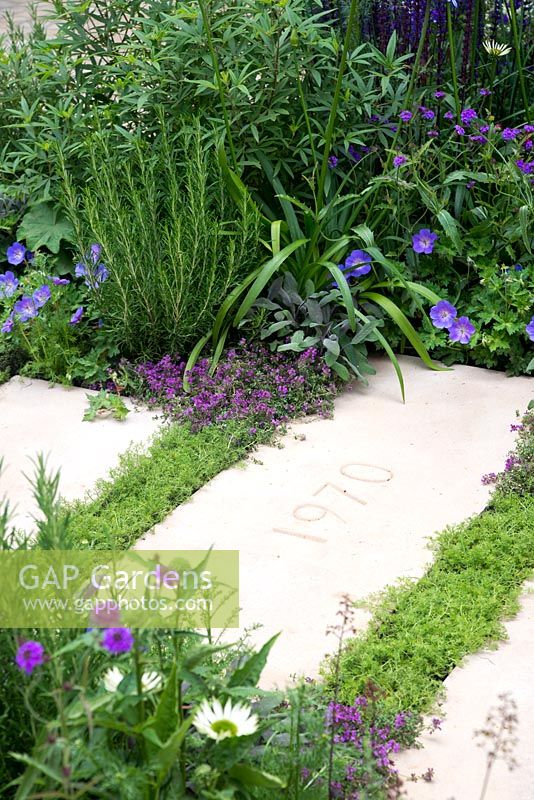 Gaps in paving filled with Chamaemelum nobile - The Wellbeing of Woman Garden, RHS Hampton Court Palace Flower Show 2015 - Design: Wendy von Buren, Claire Moreno, Amy Robertson