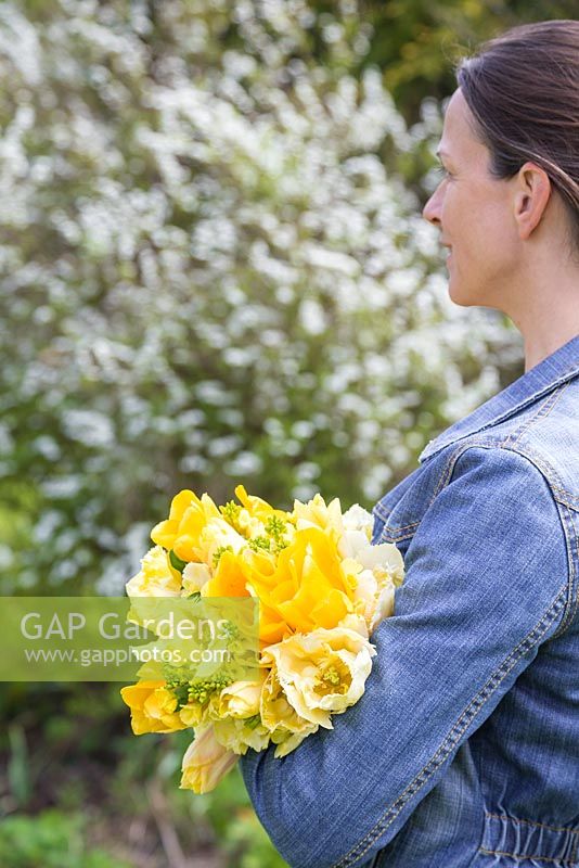 Woman carrying bunch of freshly cut Tulipa 'Sunny Boy', Tulipa 'Creme Lizard', Tulipa 'Golden Apeldoorn', Cheiranthus cheiri 'Ivory White'