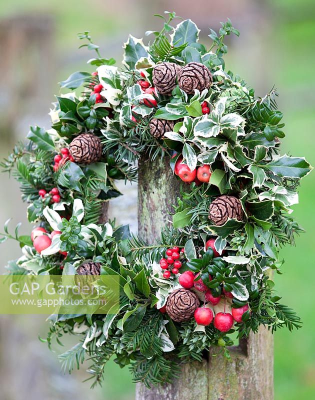 Christmas wreath with red berries and crab apples. December.