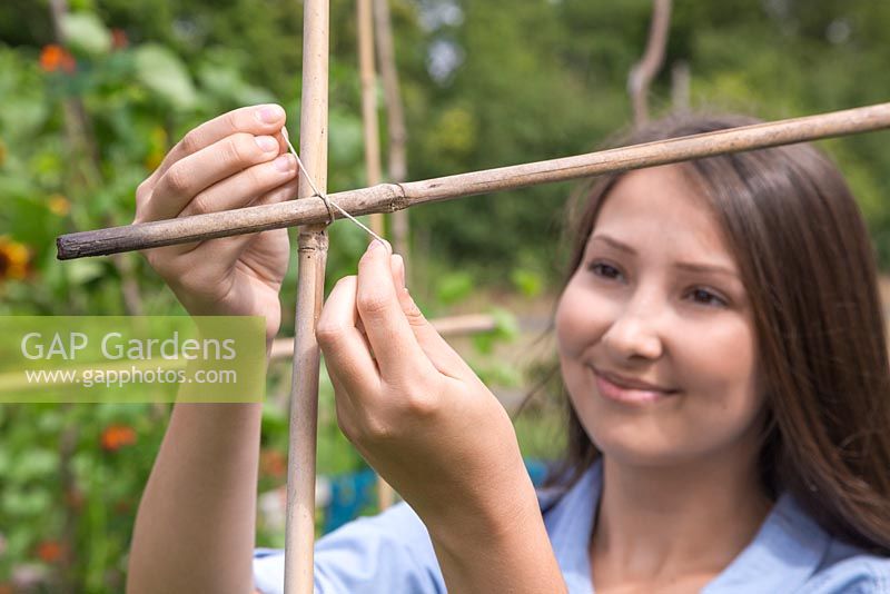 Secure a garden cane horizontally to the vertical canes using string or twine