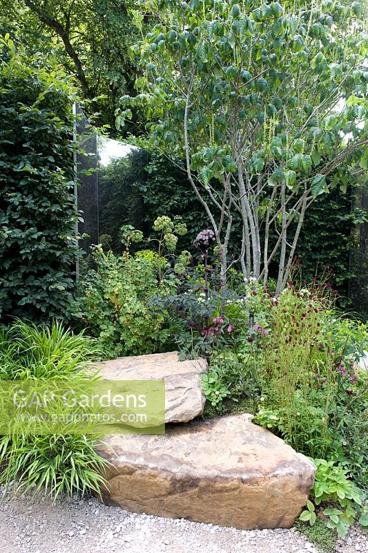 Bronzed and aged mirror set in hornbeam hedge provide reflective space in shady garden with rocks and shade tolerant perennials and multi-stemmed tree. A Different Point of View.  