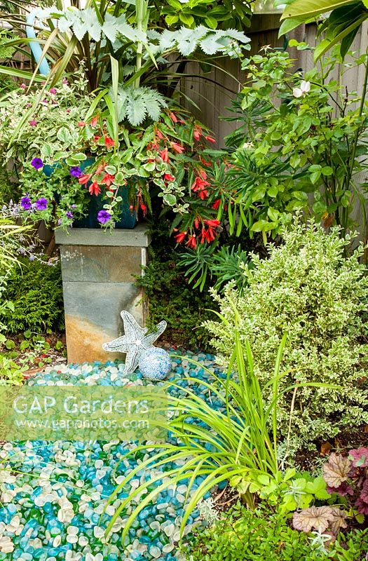 Silver container in border with mixed planting including, Melianthus major, Knautia 'Thunder and Lightening', Petunia, Plectranthus forsteri 'Marginatus', Begonia boliviensis, Buxus, Heuchera and decorative colourful stones and sea shells