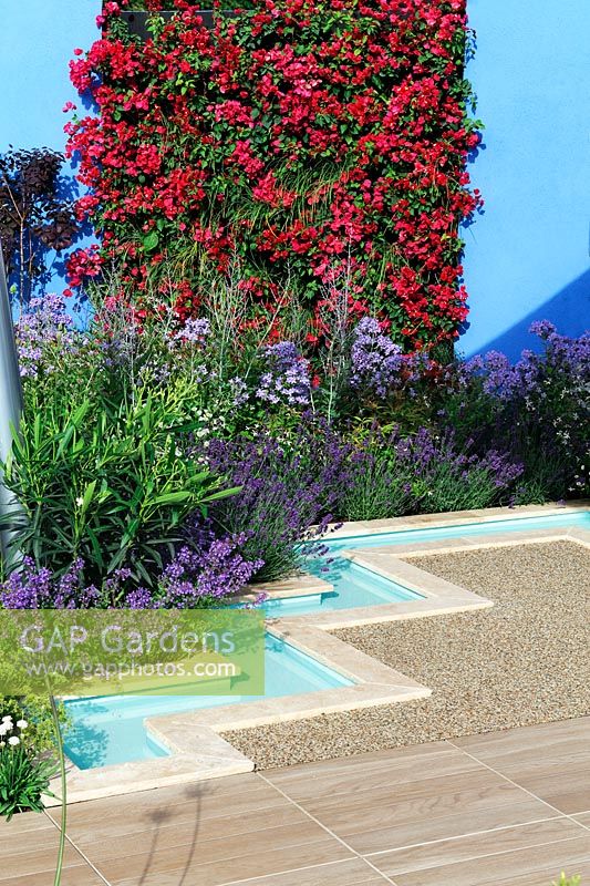 Mediterranean style garden with formal zigzag rill beside gravel terrace, vertical living walls of  - Noble Caledonia: Spirit of the Aegean, RHS Hampton Court Palace Flower Show 2015