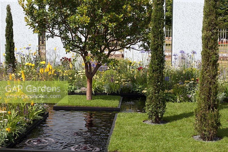 Colourful planting palette representing freedom of expression - Amnesty Internationsl: Magna Carta 800 Garden at RHS Hampton Court Palace Flower Show 2015