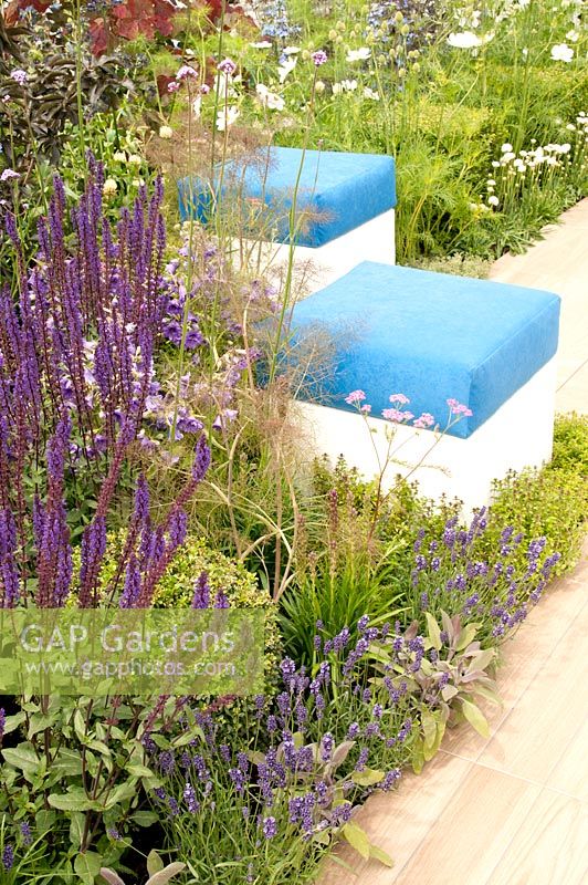 Box blue and white padded seats by wooden decking path and planting of  Lavandula Hidcote, Foeniculum vulgare, Armeria pseudarmeria Ballerina White, Thymus, Salvia nemerosa and Cosmos in the Noble Caledonia: Spirit of the Aegean garden RHS Hampton Court Palace Flower Show 2015