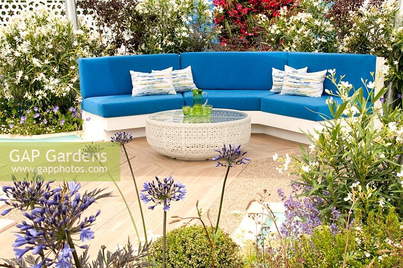 Exotic patio with blue and white curved sofa and table surrouned by Nerium oleander Album, Sambucus nigra, Cotinus coggygria, Bougainvillea and Agapanthus Black Buddha in the Noble Caledonia: Spirit of the Aegean garden RHS Hampton Court Palace Flower Show 2015. Designed by Esra Parr