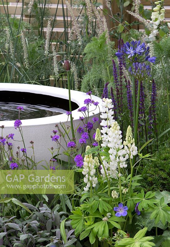 The Wellbeing of Women Garden - small pond, planting of Salvia nemorosa 'Caradonna', Pennisetum orientale 'Tall Tails', Agapanthus africanus 'Midnight Star', 'Verbena rigida - Designed by Wendy von Buren, Claire Moreno, Amy Robertson - Sponsors Tattersall Landscapes, London Stone, Jacksons Fencing, Hedgeworx, Tactile Studios - RHS Hampton Court Flower Show 2015 - awarded Silver gilt