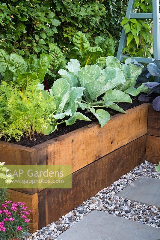Just Retirement: A Garden For Every Retiree, Raised wooden vegetable bed with cabbages and chards. Designer: Tracy Foster Sponsor: Just Retirement Ltd