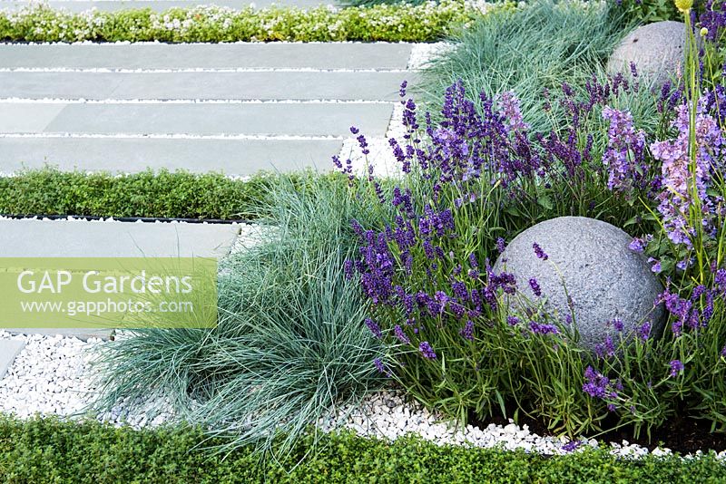 View of stone globe and grey stone slabs surrounded by Festuca glauca - blue fescue grass, Lavandula, Thymes.  Healing Urban Garden   -   RHS Hampton Court Palace Flower Show 2015