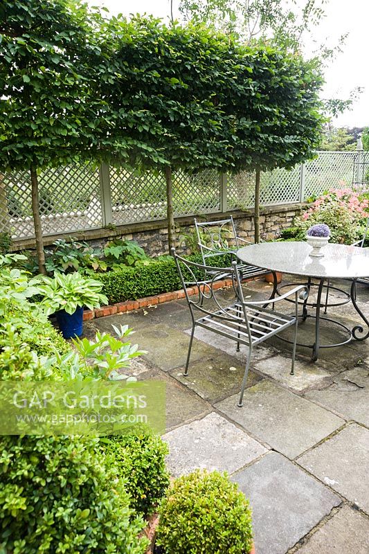 Pleached hornbeams, Carpinus betulus, screen a terraced dining area from adjoining houses thus creating a sense of privacy, underplanted with box, ferns and hostas.