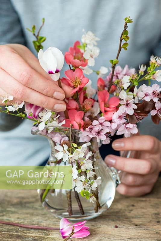 Blossom posie step by step in March: Pink cherry blossom is placed first, followed by white blackthorn blossom and stems of Japanese flowering quince. Then pink and white cyclamen are added.