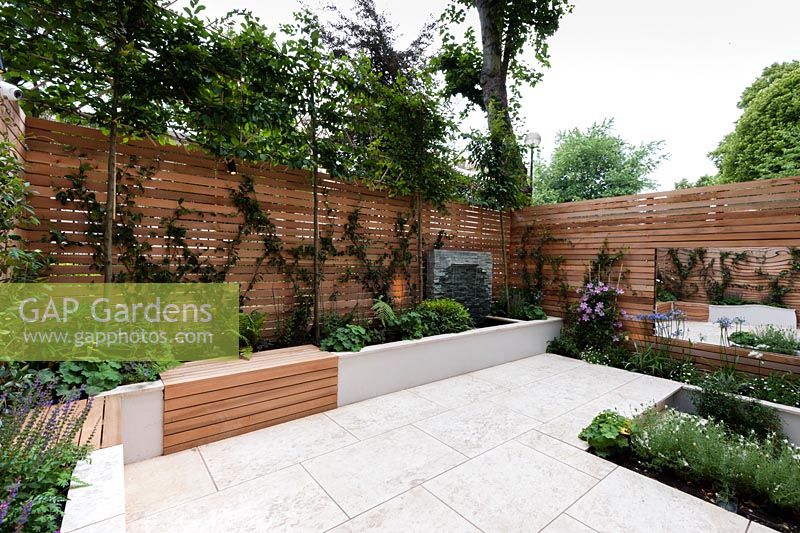 Red cedar wall screen and bench, slate water feature, Sofia limestone paving. Carpinus betulus pleached, Trachelopermum jasminoides, Salvia 'Caradonna', Clematis 'Nelly Moser', Agapanthus africanus, Agapanthus africanus 'Alba', Erigeron karvinskiansus, Lavendula augustifolia 'Arctic Snow'