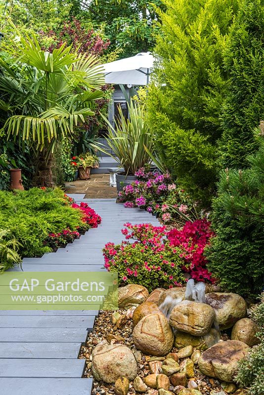 3.7m x 25m contemporary garden. Second, central seating area in shade of pergola,  linked to each end by stepped plank path.  Evergreen planting includes golden cypress, Chusan palm, flowering azaleas and small pine.
