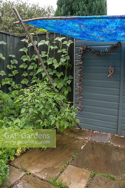 Blue shade awning constructed with minimal materials. Hazel sticks, fabric, string and screw eyes