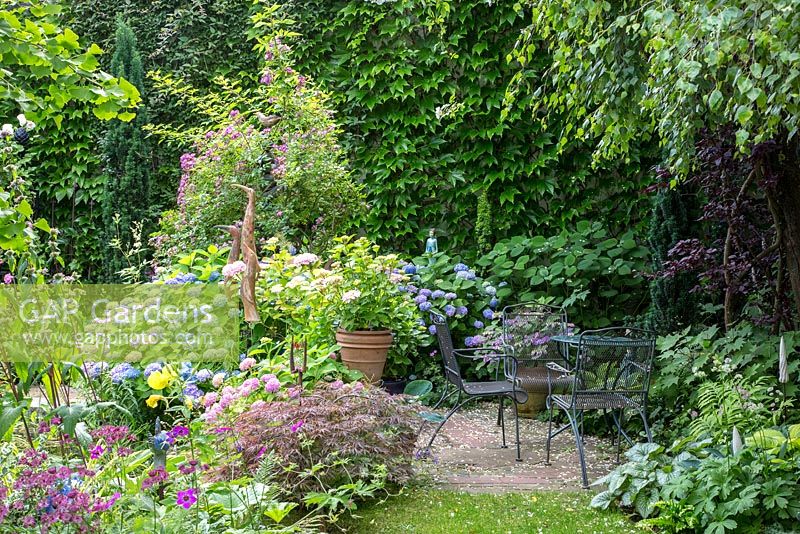 Shady rest area with metal garden chairs in a pottery maker's garden where ceramic objects show up between the lush planting with Rosa 'Veilchenblau', Acer palmatum 'Dissectum Atropurpureum', Astrantia, Geranium psilostemon, Hydrangea macrophylla 'Endless Summer', Parthenocissus tricuspidata