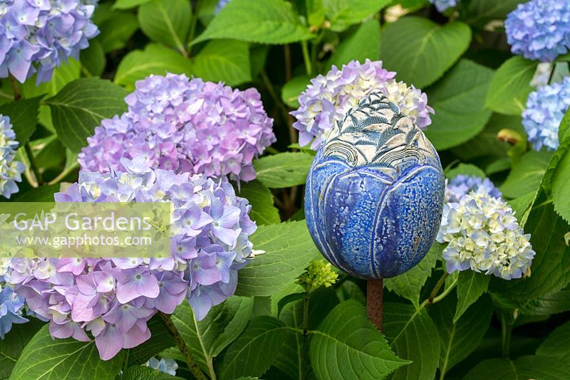 Stylized blue ceramic flower bud next to Hydrangea macrophylla 'Endless Summer'