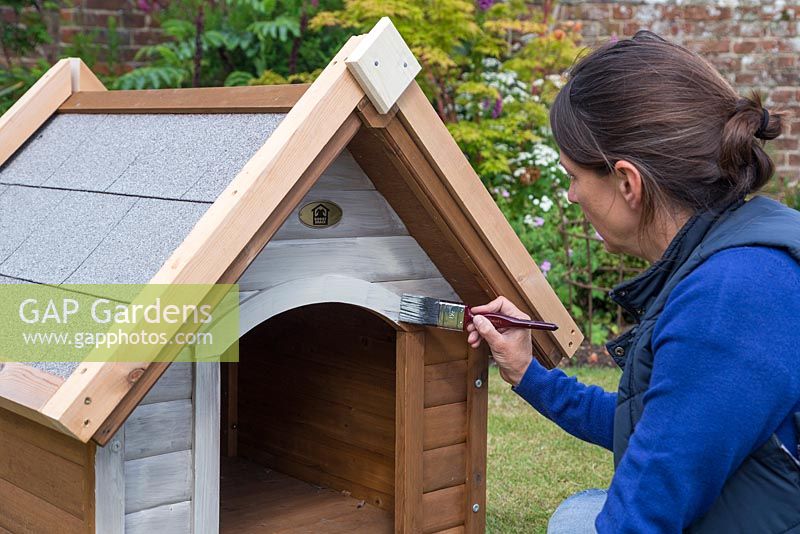 Painting the dog kennel with wood paint. Two layers is best way to ensure protection.