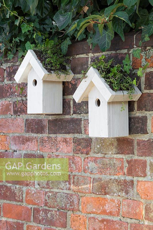 Twin bird houses with green living roofs consisting of Sedum matting