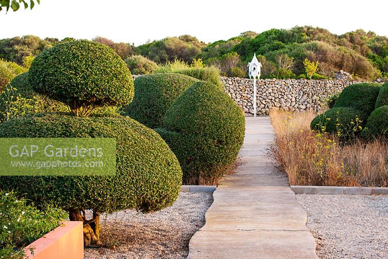 Path lined with clipped topiary olive trees.  Dovecote at end of path. Alaior, Menorca 