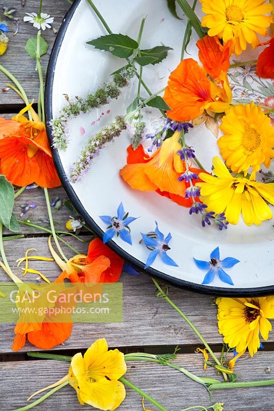 Herbs and edible flowers - marigold, fennel, borago, mint, nasturtium, lavender.