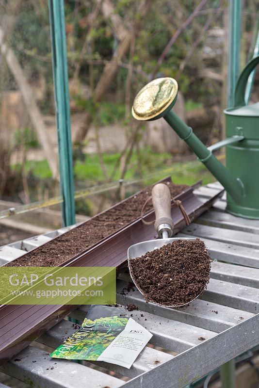 Ingredients required to grow Dill - Anethum graveolens in a gutter