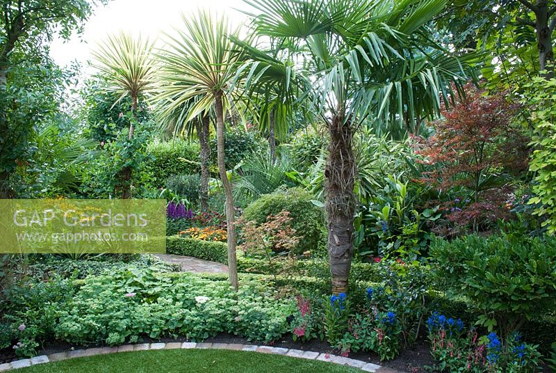 Trachycarpus fortunei with Cordyline australis 'Torbay Dazzler, underplanted with Sedum spectabile and Gentiana andrewsii