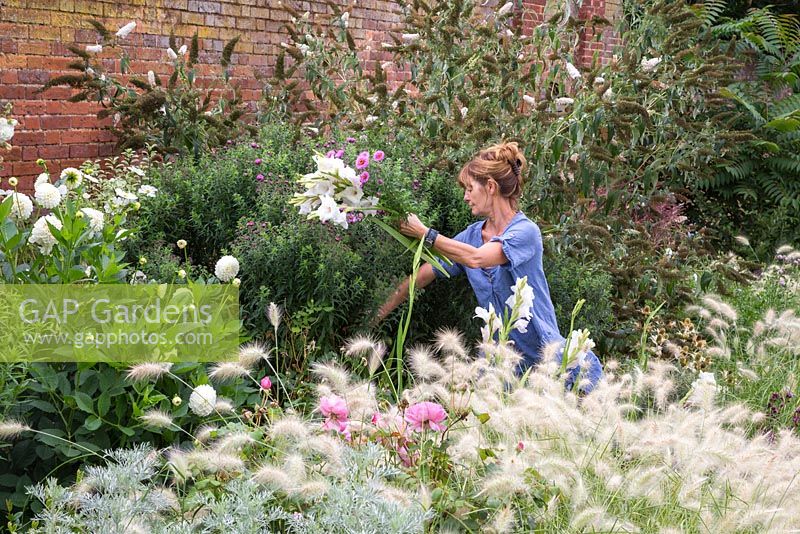 Sheree King cutting a bunch of white Gladiolus from the border
